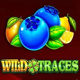 Wild Traces by Amusnet Interactive, showcased at spinfins.eu – game logo
